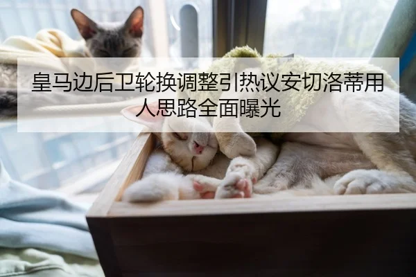 皇马边后卫轮换调整引热议安切洛蒂用人思路全面曝光
